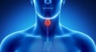 Makaleler L'Hypothyroïdie : Comprendre et Gérer une Pathologie Fréquente