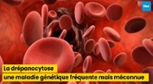 Makaleler La drépanocytose : une maladie génétique fréquente mais méconnue