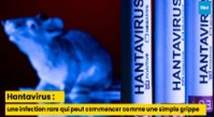 Magazine Hantavirus : une infection rare qui peut commencer comme une simple grippe