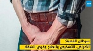 Magazine سرطان الخصية: الأعراض، التشخيص والعلاج وفرص الشفاء