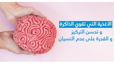 الأغذية الّتي تقوّي الذّاكرة و تحسّن التّركيز و القدرة على عدم النّسيان 