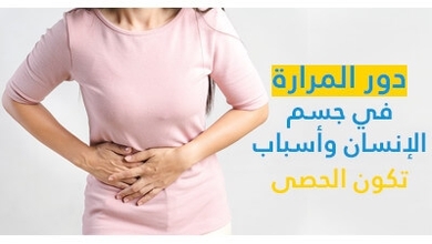 دور المرارة في جسم الإنسان وأسباب تكوّن الحصى 