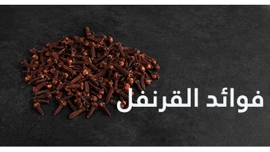 القرنفل: فوائد القرنفل