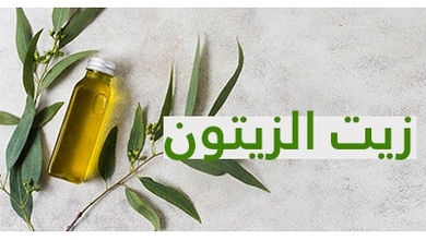زيت الزيتون