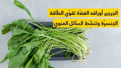 الجرجير أوراقه الغضّة تقوّي الطّاقة الجنسيّة وتنشّط السّائل المنوي