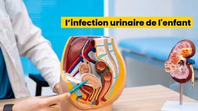 l’infection urinaire de l