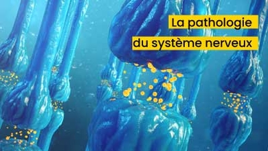 La pathologie du système nerveux