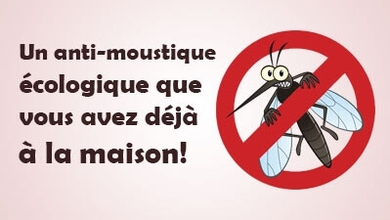 Un anti-moustique écologique que vous avez déjà à la maison!