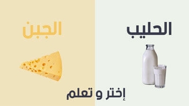 فوائد الحليب و الجبن