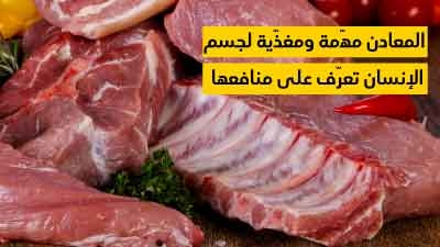 بدائل الدهون أهمّ خصائصها والأطعمة الغنيّة بها