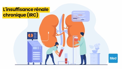 Comprendre l'Insuffisance Rénale Chronique : Symptômes, Causes et Gestion