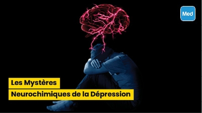 Les Mystères Neurochimiques de la Dépression
