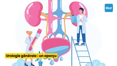 Urologie générale : un aperçu