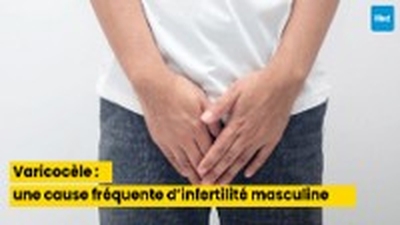 Varicocèle : une cause fréquente d’infertilité masculine