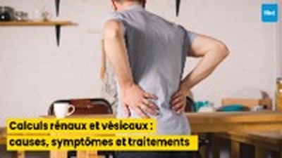 Calculs rénaux et vésicaux : causes, symptômes et traitements