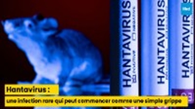 Hantavirus : une infection rare qui peut commencer comme une simple grippe