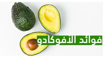 فوائد الأفوكادو 