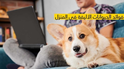 فوائد الحيوانات الأليفة في المنزل