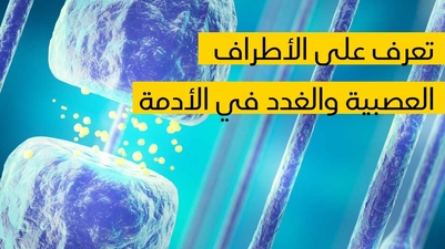 تعرف على الأطراف العصبية والغدد في الأدمة