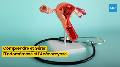 Endométriose et Adénomyose : Comprendre et Gérer Ces Affections Gynécologiques