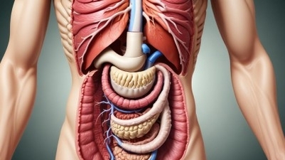 اضطرابات الجهاز الهضمي بعد رمضان 