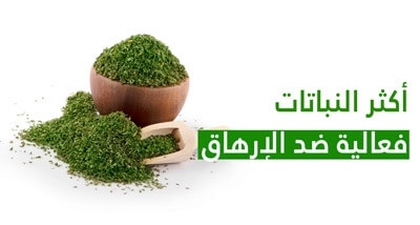 أكثر النباتات فعالية ضد الإرهاق