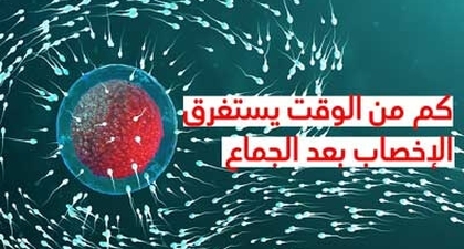 كم من الوقت يستغرق الإخصاب بعد الجماع