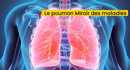 Le poumon Miroir des maladies