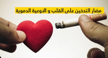 مضار التدخين على القلب و الاوعية الدموية