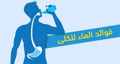 فوائد الماء للكلى