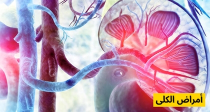 أمراض الكلى