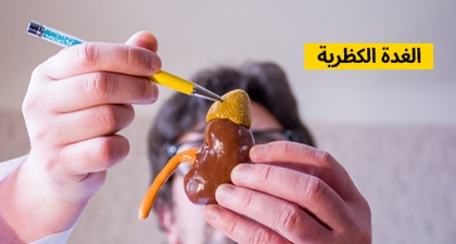 الغدة الكظرية