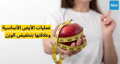 عمليات الأيض الأساسية وعلاقتها بتخفيض الوزن