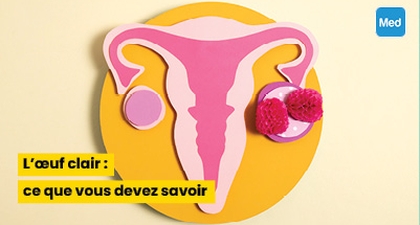 L'œuf clair : ce que vous devez savoir