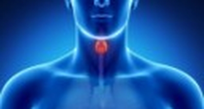 L'Hypothyroïdie : Comprendre et Gérer une Pathologie Fréquente