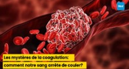 Les mystères de la coagulation : comment notre sang arrête de couler