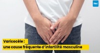Varicocèle : une cause fréquente d’infertilité masculine