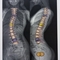 Dr Sami SAID (CIMA) Radiologue