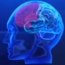 Dr Naila MIDAFI Neurologue