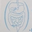 Dr Choukri ASSIA Gastro-entérologue