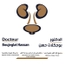 Dr Boujeglat HASSAN Urologue