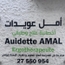 Mme Amal AUIDETTE Ergothérapeute