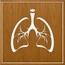 Dr Safae OUKILI Pulmonologist