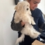 Dr Rania labiadh AURA CLINIQUE VÉTÉRINAIRE  Veterinarian