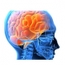 Dr Djamel ARKOUB Neurologue