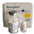Rocephin 0.5gm i.v.vial